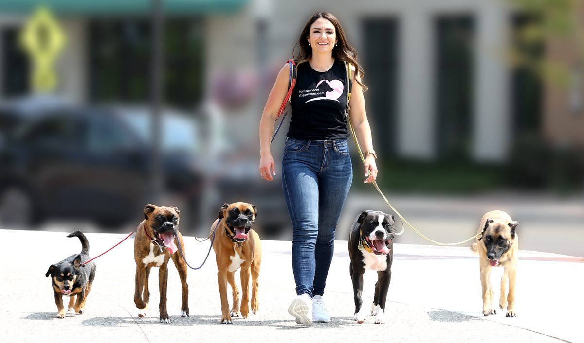 A From The Heart trainer walking five dogs calmly together on a neighborhood pack walk